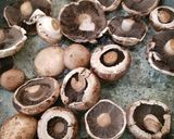 A picture of step 1 of My Quick Black Pepper and Balsamic vinegared Mushrooms. 😀.