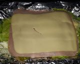 Foto del paso 6 de la receta: Wrap de lechuga