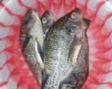 Foto langkah ke 1 dari resep Ikan Mujaer Rica-rica.