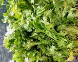 A picture of step 1 of Dhania/Green Coriander leaves Chutney.