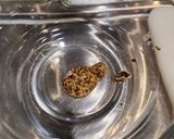 Omni 新鮪魚肉小黃瓜捲的食譜步驟1照片