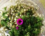 A picture of step 1 of Sprout kabab.