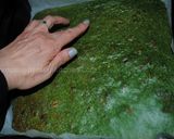 A picture of step 10 of Spinach and garlic-yogurt rolls.