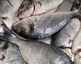 صورة لخطوة 1 من وصفة اطيب سمك 🐟 مشوي من مطبخي😋👌
