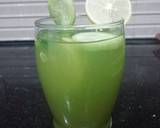 Coriander and Cucumber Juice recipe step 4 photo