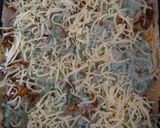 Húsos-baby spenótos lasagne gluténmentesen recept fázis 3 fotója