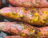 A picture of step 3 of Street Style ShakerKandi (roasted sweet potato on Tawa).