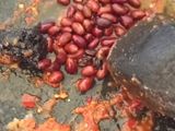 🥗Rujak Petis🥗
