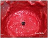 A picture of step 2 of Tomato-Beetroot Soup.