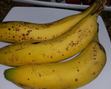 Foto del paso 3 de la receta: Batido de fresa y plátano