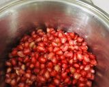દાડમ નો જ્યૂસ (Pomegranate Juice Recipe In Gujarati) રેસીપી સ્ટેપ1ફોટો
