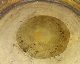 Foto del paso 1 de la receta: Osobuco y tallarines al disco con salsa de mostaza y miel