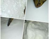 Foto langkah ke 2 dari resep Bubur 3S(Sumsum Super Simple).