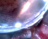 A picture of step 5 of Sig's Pink Champagne Jelly Fizz.