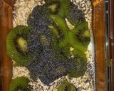 Foto del paso 4 de la receta: Yogurt con avena, kiwi y semillas de amapola