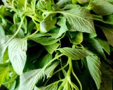 A picture of step 1 of Green Amaranth Mix Vegetable Sabzi.