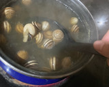Foto del paso 1 de la receta: Caracoles en salsa con picante