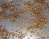 A picture of step 10 of Pinjiri (winter special).