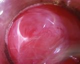 Foto langkah ke 3 dari resep Puding Jelly Strawberry Merah Putih.