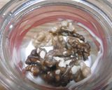 A picture of step 4 of Yogurt, Honey & Walnut dessert.