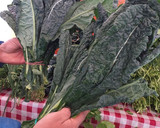 Foto del paso 3 de la receta: Sorrentinos de kale rellenos con carne (posta rosada)