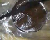 A picture of step 5 of Instant swiss roll.
