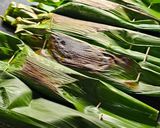 Foto langkah ke 4 dari resep Otak-otak Panggang Ayam Sayur (Wortel & Daun Kelor).