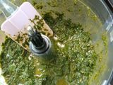 Albahaca todo el año