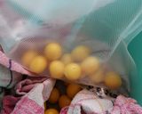 Mirabellen als Umeboshi einlegen Rezeptschritt 2 Foto