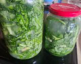 A picture of step 5 of Brad's pickled mustard greens.