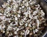 A picture of step 1 of Sprouts.