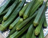 ભીંડી કી સબ્જી (Bhindi Sabji Recipe In Gujarati) રેસીપી સ્ટેપ1ફોટો
