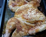 A picture of step 11 of Spatchcock Turkey.