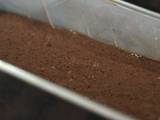 Cassava Chocolate Chiffon
