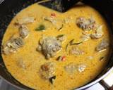 Thai Panang Mutton Curry recipe step 8 photo