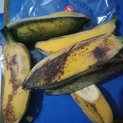 Langkah 1