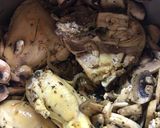 Foto del paso 6 de la receta: Caldo de hongos y mezcal