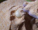Foto langkah ke 4 dari resep Kue Janda Genit.
