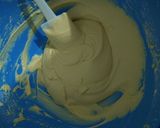 Foto del paso 4 de la receta: Garibaldis