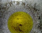 A picture of step 2 of Kundru fry.