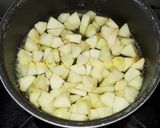 Foto langkah ke 3 dari resep Apple Pie Teflon Roti Gandum.