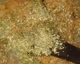 A picture of step 3 of Qeema Alo.