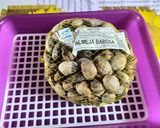 Foto del paso 1 de la receta: Almejas a la marinera