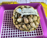 Foto del paso 1 de la receta: Almejas a la marinera