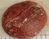 Foto langkah ke 19 dari resep Basic Chocolate Sourdough Bread (88%).