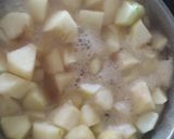 Foto del paso 2 de la receta: Puré de manzana! 🍏