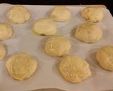 A picture of step 8 of No Knead Yeast Rolls.