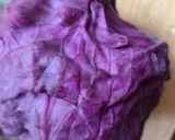 Foto del paso 1 de la receta: Jugo de repollo morado con aceite de orégano 💜Jugo de lombarda o col morada por extractor 💜