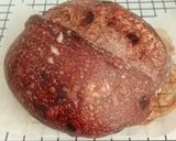 Foto langkah ke 25 dari resep Orange Peel Double Choco Sourdough Bread 74% (Open Bake Method).