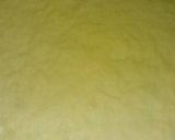 Foto del paso 4 de la receta: Pasta frola